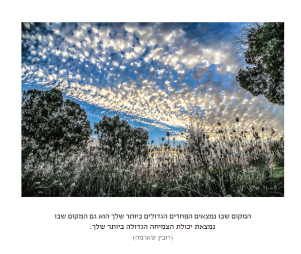 מתוך ספרו של תומר פלד ״ליד הבית״
